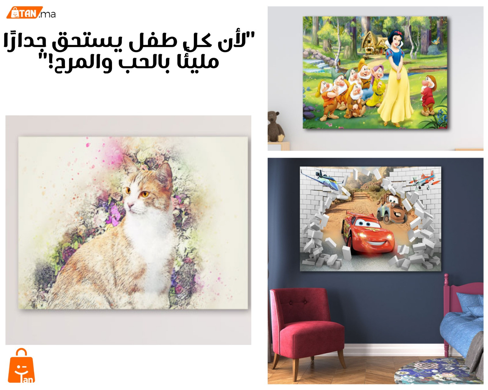 Zentek القضاء نهائيا على الصراصير لمدة طويلة الحل النهائي