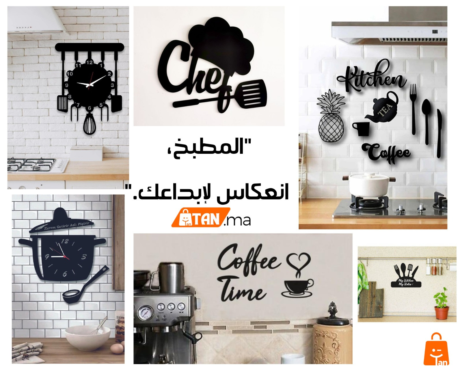 Zentek القضاء نهائيا على الصراصير لمدة طويلة الحل النهائي